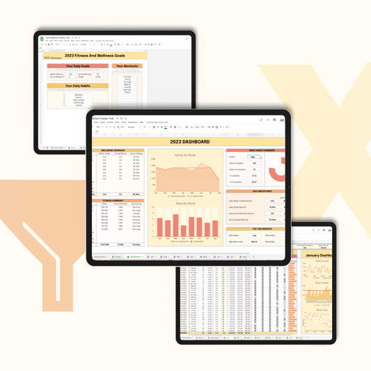 2023 Wellness Tracker - Excel Dictionary